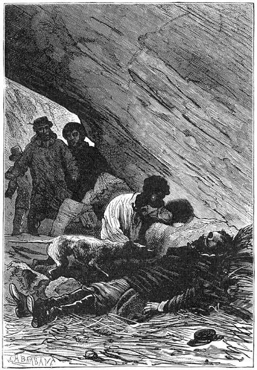 Иллюстрация к книге — Таинственный остров [p041.jpg]