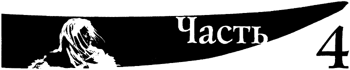 Иллюстрация к книге — Король Призраков [i_005.png]