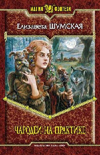 Книга Чародеи на практике Книга Чародеи на практике
