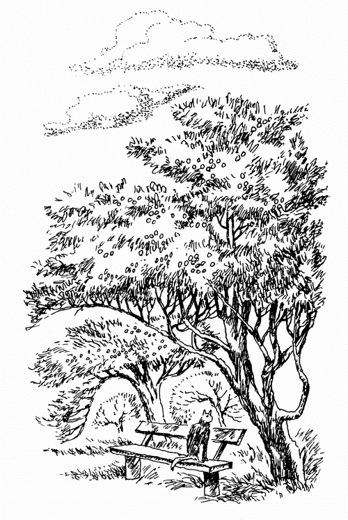 Иллюстрация к книге — Кладовая солнца. Рассказы о природе [i_005.png]