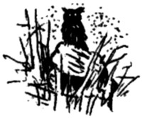 Иллюстрация к книге — Ночные стражи. Наследник [i_017.jpg]