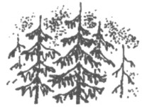 Иллюстрация к книге — Ночные стражи. Изгнанник [i_024.jpg]