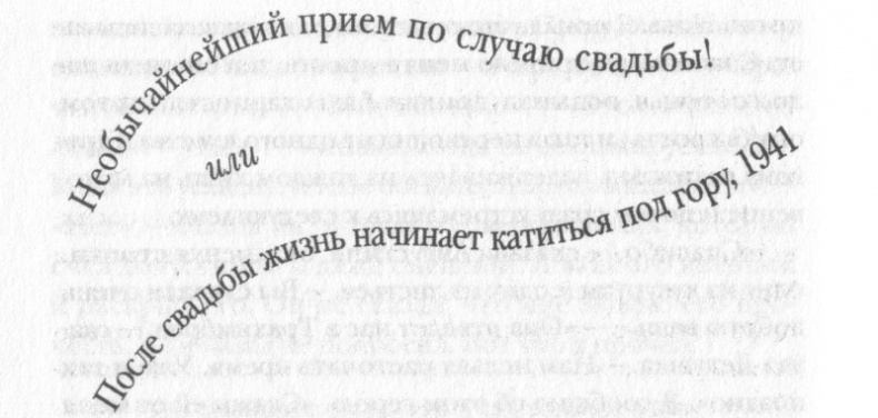 Иллюстрация к книге — Полная иллюминация [_11a.png]