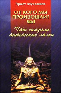 Книга Что сказали тибетские ламы Книга Что сказали тибетские ламы