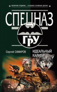 Книга Идеальный калибр Книга Идеальный калибр