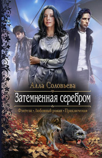 Книга Затемненная серебром Книга Затемненная серебром
