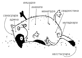 Иллюстрация к книге — Женщины и коты, мужчины и кошки [i_015.png]