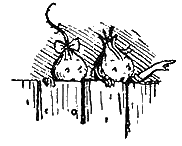 Иллюстрация к книге — Приключения Чиполлино [g17.png]