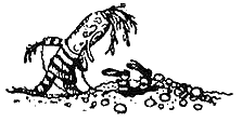 Иллюстрация к книге — Приключения Чиполлино [g57.png]