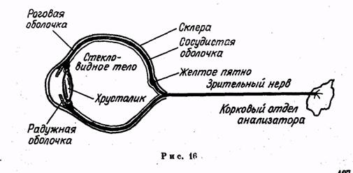 Иллюстрация к книге — Психология. Учебник для учащихся педагогических училищ [image021.jpg]