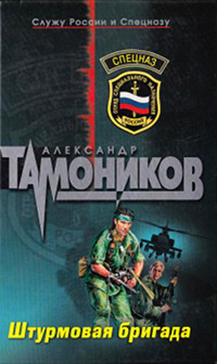 Книга Штурмовая бригада