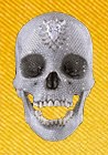 Иллюстрация к книге — Готовься к войне [i_001.jpg]