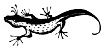 Иллюстрация к книге — Ямы [i_003.png]