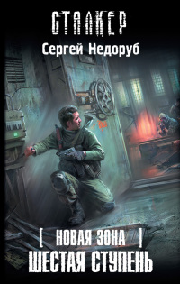 Книга Новая Зона. Шестая ступень