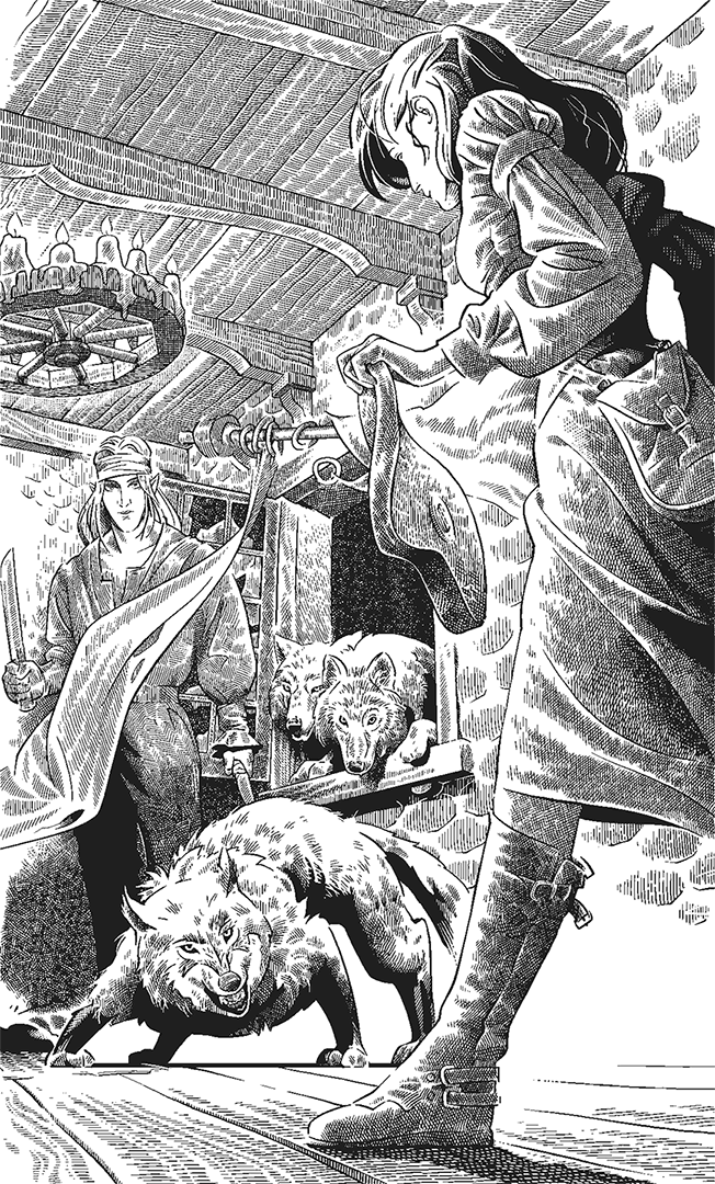 Иллюстрация к книге — Теща Темного Властелина [_1.png]