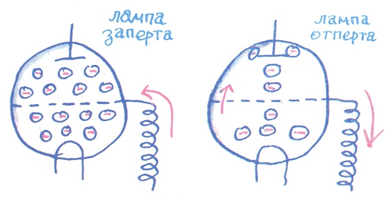 Иллюстрация к книге — Лекции профессора Чайникова [i_055.jpg]