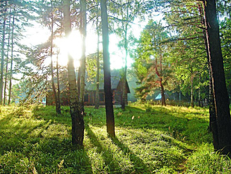 Иллюстрация к книге — Без любви жить нельзя [i_011.jpg]