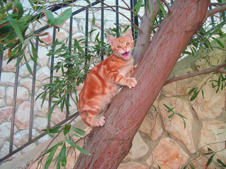 Иллюстрация к книге — Без любви жить нельзя [i_014.jpg]