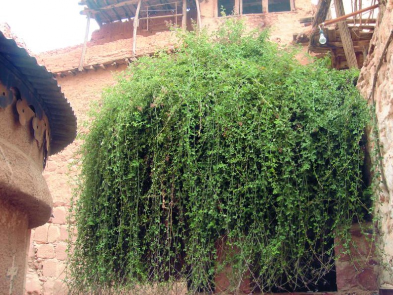 Иллюстрация к книге — Без любви жить нельзя [i_016.jpg]