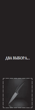 Иллюстрация к книге — Хроника одного падения [i_002.jpg]