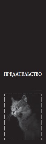 Иллюстрация к книге — Хроника одного падения [i_007.jpg]