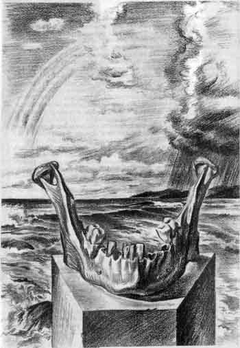 Иллюстрация к книге — Каратели [doc2fb_image_02000014.jpg]