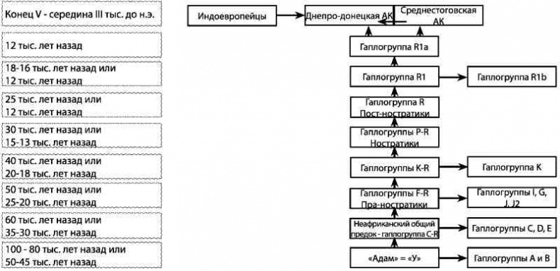 Иллюстрация к книге — Русские - не славяне? [i_019.jpg]