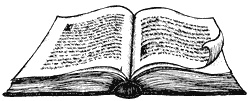 Иллюстрация к книге — Город Мечтающих Книг [i_005.jpg]