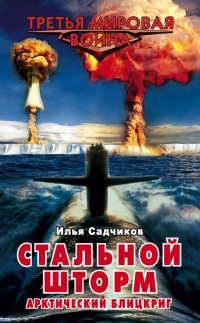 Книга Стальной шторм. Арктический блицкриг Книга Стальной шторм. Арктический блицкриг
