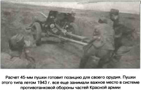 Иллюстрация к книге — Освобождение 1943. «От Курска и Орла война нас довела…» [i_020.jpg]