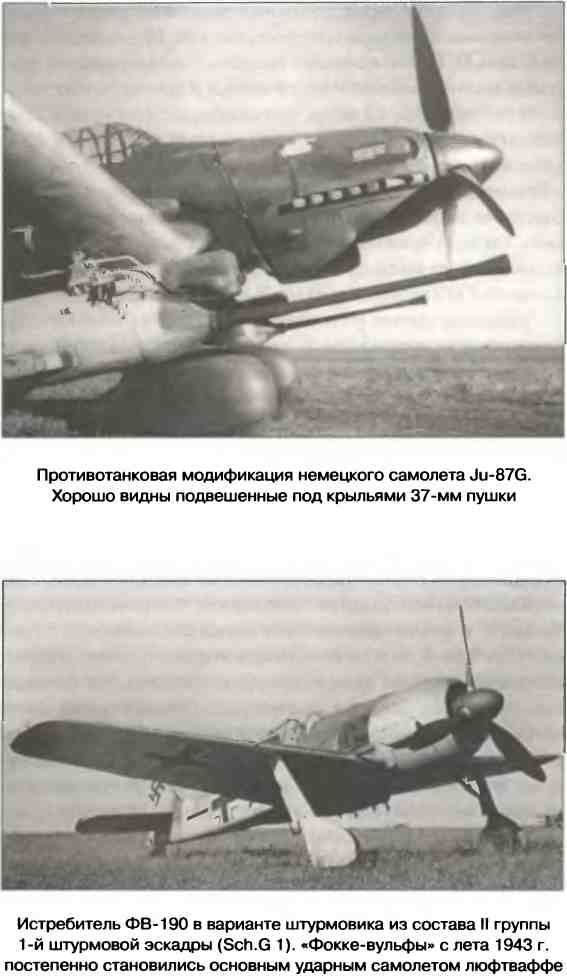 Иллюстрация к книге — Освобождение 1943. «От Курска и Орла война нас довела…» [i_058.jpg]