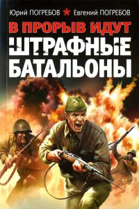Книга В прорыв идут штрафные батальоны Книга В прорыв идут штрафные батальоны