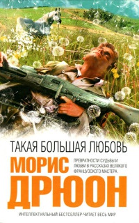 Книга Такая большая любовь Книга Такая большая любовь