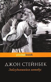 Книга Заблудившийся автобус Книга Заблудившийся автобус