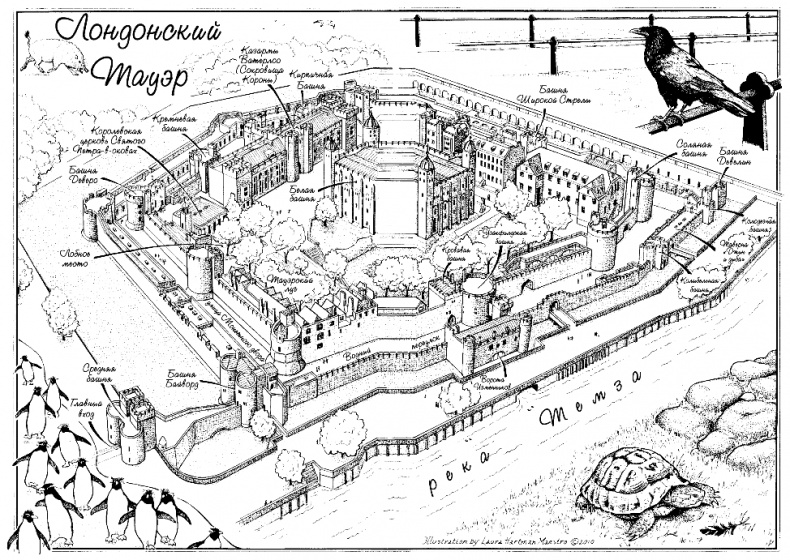 Иллюстрация к книге — Тауэр, зоопарк и черепаха [i_001.jpg]