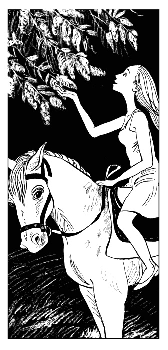 Иллюстрация к книге — Одиночество мужчин [Autogen_eBook_id38.jpg]