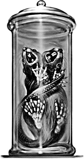 Иллюстрация к книге — Битва чудовищ [i_008.jpg]