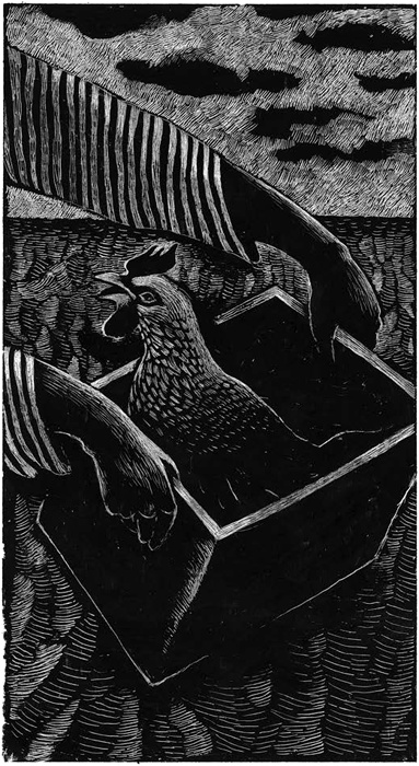 Иллюстрация к книге — Все мы не красавцы [i_009.jpg]