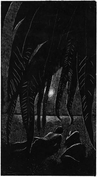 Иллюстрация к книге — Все мы не красавцы [i_011.jpg]