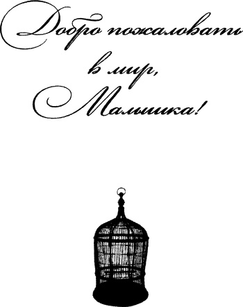 Иллюстрация к книге — Добро пожаловать в мир, малышка! [i_001.jpg]