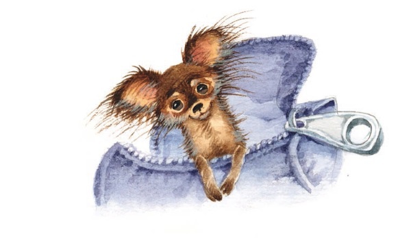 Иллюстрация к книге — Приключения Маши Михайловой [i_015.jpg]