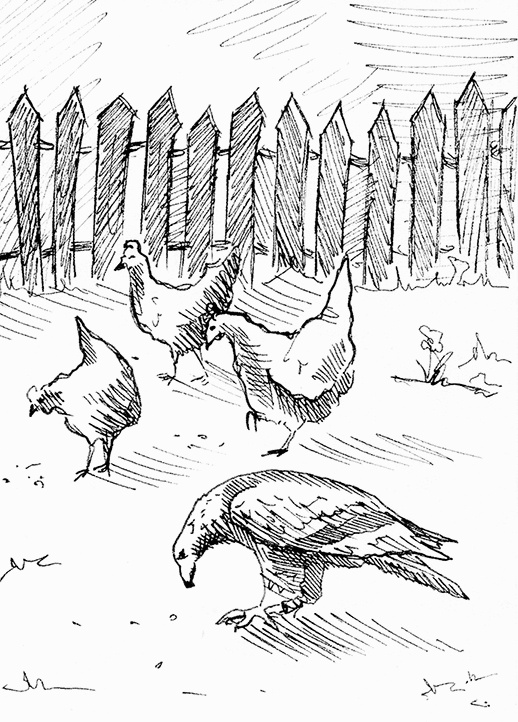 Иллюстрация к книге — Притчи@ру. 77 сентиментальных историй [Autogen_eBook_id25.jpg]