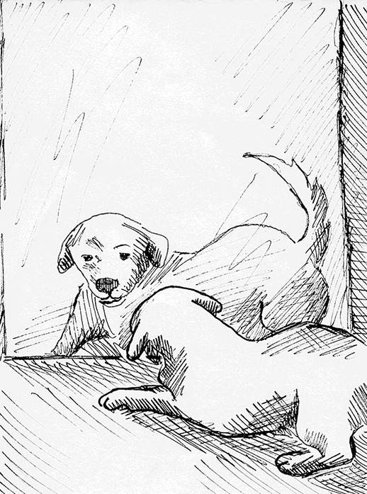 Иллюстрация к книге — Притчи@ру. 77 сентиментальных историй [Autogen_eBook_id31.jpg]