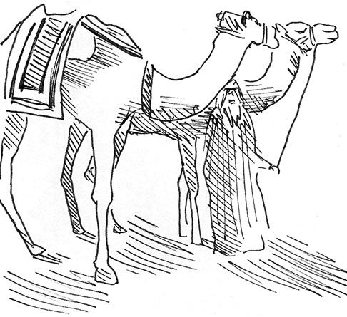 Иллюстрация к книге — Притчи@ру. Секрет счастья [Autogen_eBook_id73.jpg]