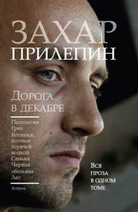 Книга Дорога в декабре Книга Дорога в декабре