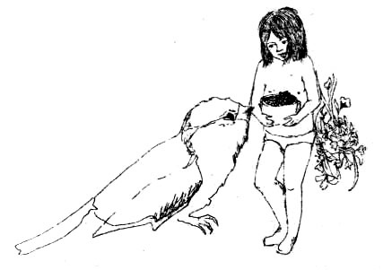 Иллюстрация к книге — Лечебный факультет, или Спасти лягушку [_19.jpg]