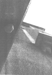 Иллюстрация к книге — Венеция - это рыба [i_060.jpg]