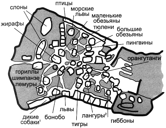 Иллюстрация к книге — Загадочное ночное убийство собаки [i_014.jpg]