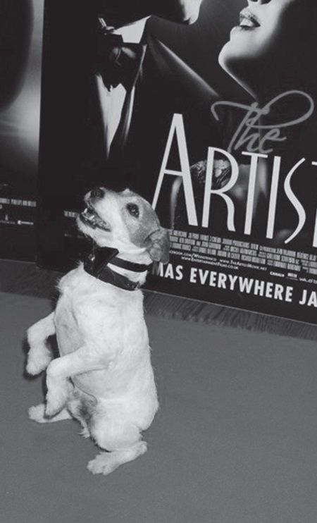 Иллюстрация к книге — Угги. Моя жизнь [Autogen_eBook_id75.jpg]