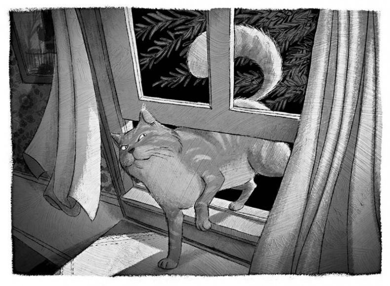 Иллюстрация к книге — Книга теней [i_003.jpg]